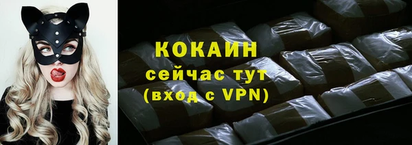 амф Володарск