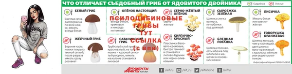 амф Володарск