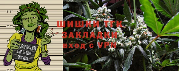 амф Володарск