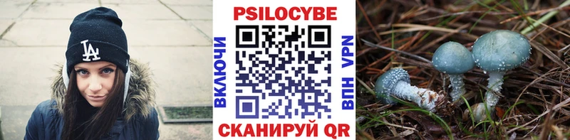 Псилоцибиновые грибы мухоморы  Волгодонск 