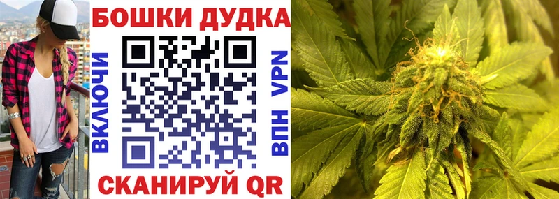 Бошки марихуана сатива  Волгодонск 